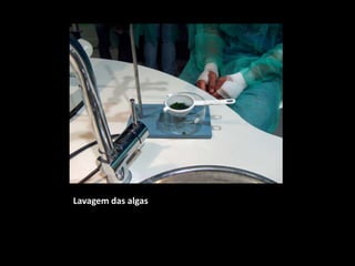 Lavagem das algas