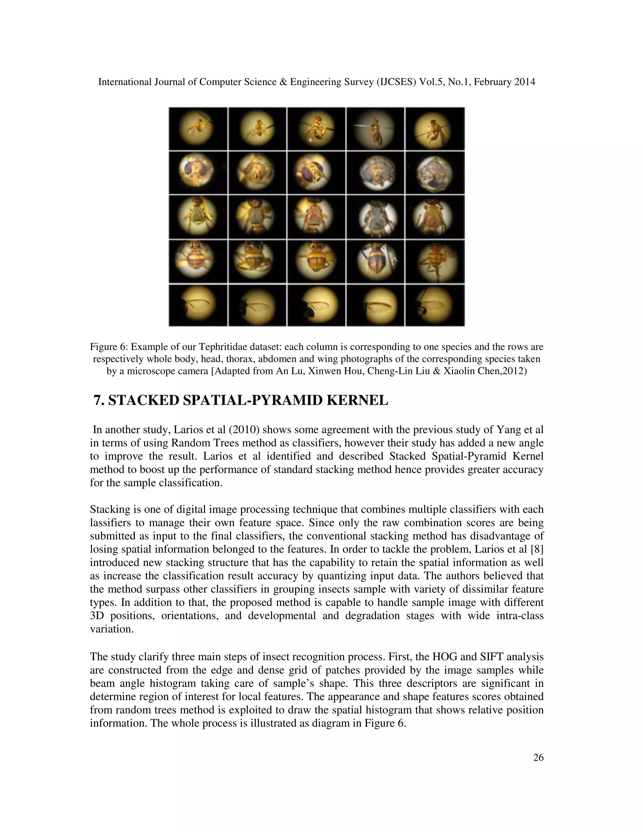 International Journal of Computer Science & Engineering Survey (IJCSES) Vol.5, No.1, February 2014
26
Figure 6: Example of our Tephritidae dataset: each column is corresponding to one species and the rows are
respectively whole body, head, thorax, abdomen and wing photographs of the corresponding species taken
by a microscope camera [Adapted from An Lu, Xinwen Hou, Cheng-Lin Liu & Xiaolin Chen,2012)
7. STACKED SPATIAL-PYRAMID KERNEL
In another study, Larios et al (2010) shows some agreement with the previous study of Yang et al
in terms of using Random Trees method as classifiers, however their study has added a new angle
to improve the result. Larios et al identified and described Stacked Spatial-Pyramid Kernel
method to boost up the performance of standard stacking method hence provides greater accuracy
for the sample classification.
Stacking is one of digital image processing technique that combines multiple classifiers with each
lassifiers to manage their own feature space. Since only the raw combination scores are being
submitted as input to the final classifiers, the conventional stacking method has disadvantage of
losing spatial information belonged to the features. In order to tackle the problem, Larios et al [8]
introduced new stacking structure that has the capability to retain the spatial information as well
as increase the classification result accuracy by quantizing input data. The authors believed that
the method surpass other classifiers in grouping insects sample with variety of dissimilar feature
types. In addition to that, the proposed method is capable to handle sample image with different
3D positions, orientations, and developmental and degradation stages with wide intra-class
variation.
The study clarify three main steps of insect recognition process. First, the HOG and SIFT analysis
are constructed from the edge and dense grid of patches provided by the image samples while
beam angle histogram taking care of sample’s shape. This three descriptors are significant in
determine region of interest for local features. The appearance and shape features scores obtained
from random trees method is exploited to draw the spatial histogram that shows relative position
information. The whole process is illustrated as diagram in Figure 6.
 