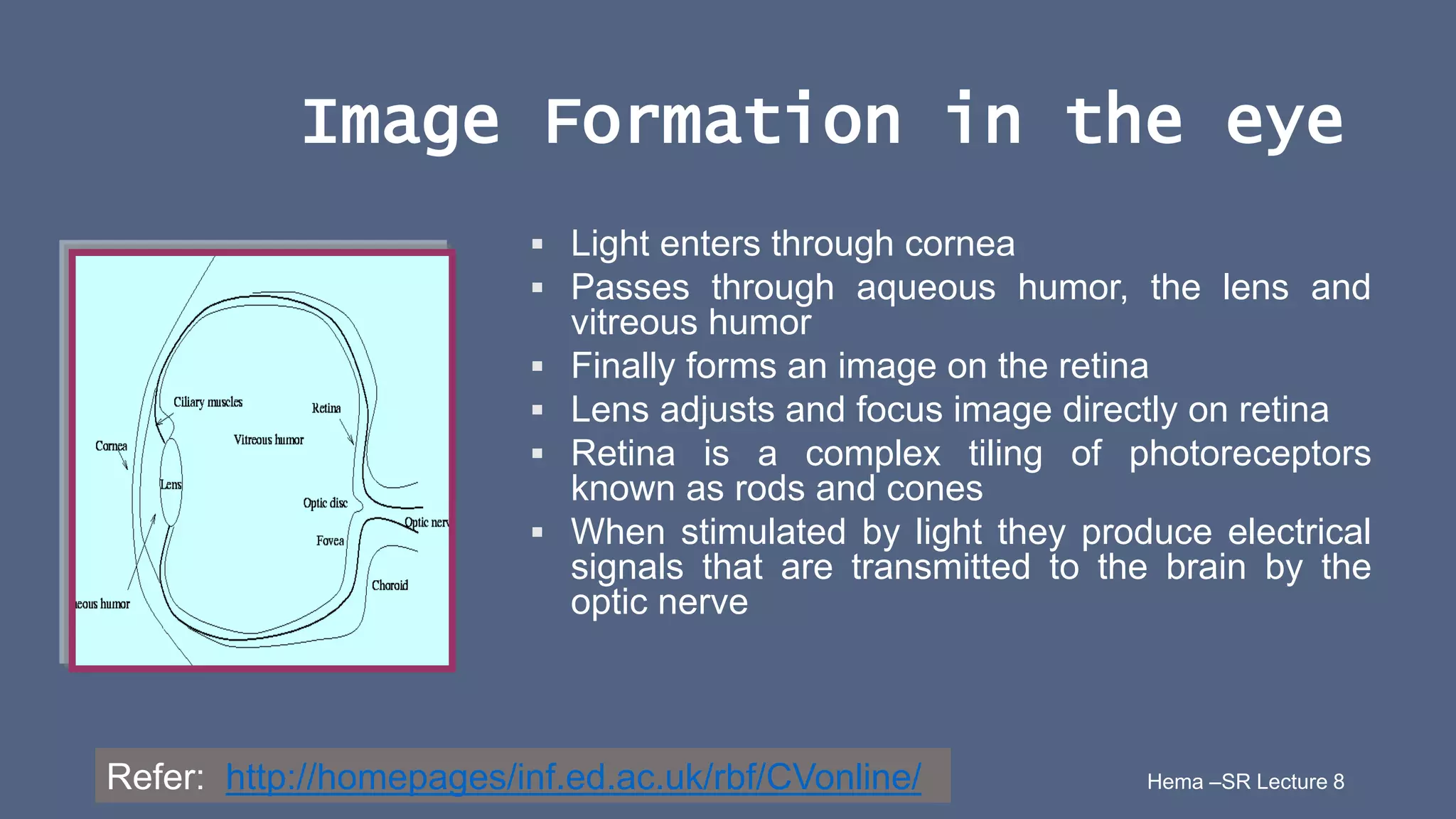 11 Hema –SR Lecture 8
Image Formation in the eye
 Light enters through cornea
 Passes through aqueous humor, the lens and
vitreous humor
 Finally forms an image on the retina
 Lens adjusts and focus image directly on retina
 Retina is a complex tiling of photoreceptors
known as rods and cones
 When stimulated by light they produce electrical
signals that are transmitted to the brain by the
optic nerve
Refer: http://homepages/inf.ed.ac.uk/rbf/CVonline/
 