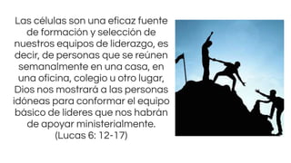 Las células son una eficaz fuente
de formación y selección de
nuestros equipos de liderazgo, es
decir, de personas que se reúnen
semanalmente en una casa, en
una oficina, colegio u otro lugar,
Dios nos mostrará a las personas
idóneas para conformar el equipo
básico de líderes que nos habrán
de apoyar ministerialmente.
(Lucas 6: 12-17)
 
