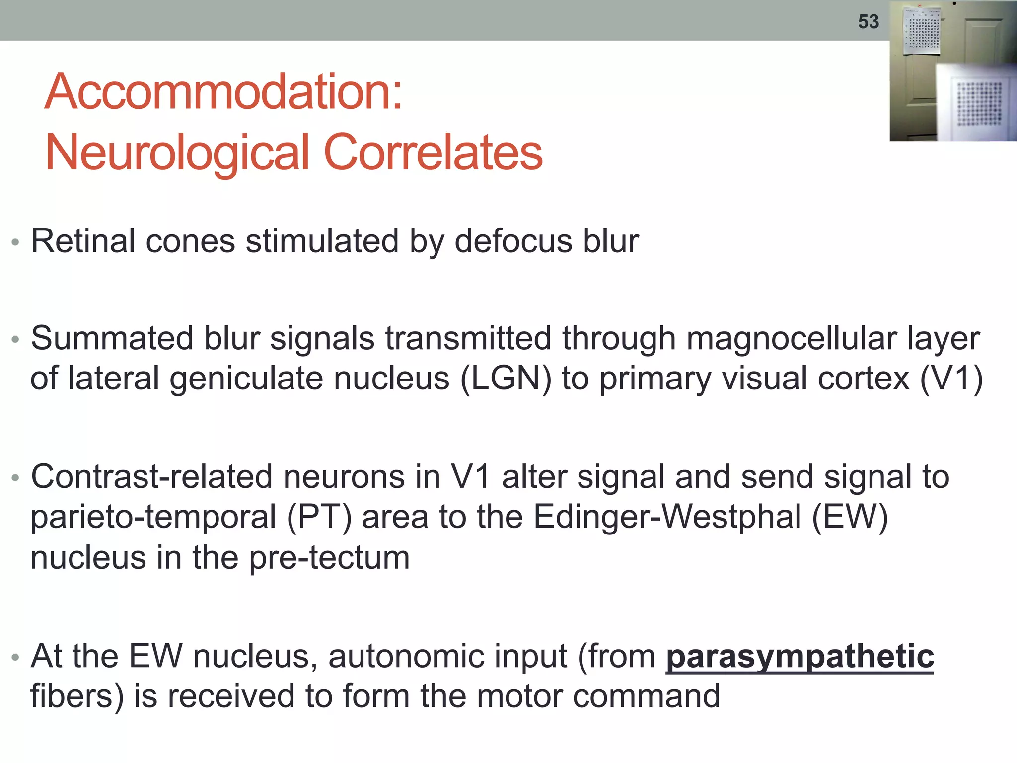 Accommodation:
Neurological Correlates
•  Retinal cones stimulated by defocus blur
•  Summated blur signals transmitted through magnocellular layer
of lateral geniculate nucleus (LGN) to primary visual cortex (V1)
•  Contrast-related neurons in V1 alter signal and send signal to
parieto-temporal (PT) area to the Edinger-Westphal (EW)
nucleus in the pre-tectum
•  At the EW nucleus, autonomic input (from parasympathetic
fibers) is received to form the motor command
53
 