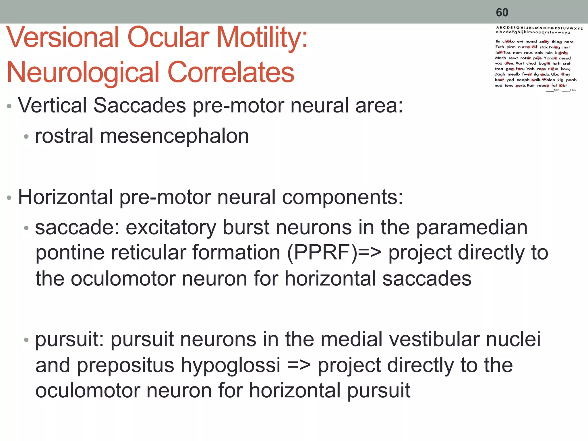 Versional Ocular Motility:
Neurological Correlates
•  Vertical Saccades pre-motor neural area:
•  rostral mesencephalon
•  Horizontal pre-motor neural components:
•  saccade: excitatory burst neurons in the paramedian
pontine reticular formation (PPRF)=> project directly to
the oculomotor neuron for horizontal saccades
•  pursuit: pursuit neurons in the medial vestibular nuclei
and prepositus hypoglossi => project directly to the
oculomotor neuron for horizontal pursuit
60
 