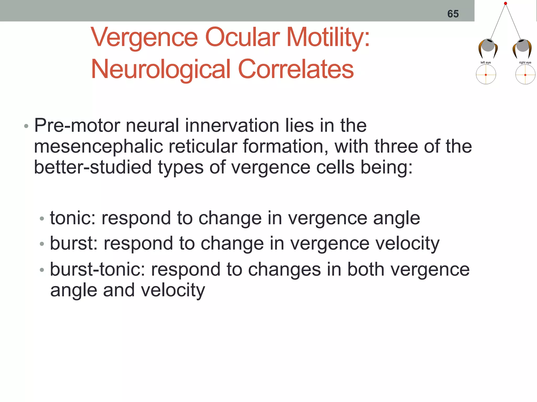 Vergence Ocular Motility:
Neurological Correlates
•  Pre-motor neural innervation lies in the
mesencephalic reticular formation, with three of the
better-studied types of vergence cells being:
•  tonic: respond to change in vergence angle
•  burst: respond to change in vergence velocity
•  burst-tonic: respond to changes in both vergence
angle and velocity
65
 