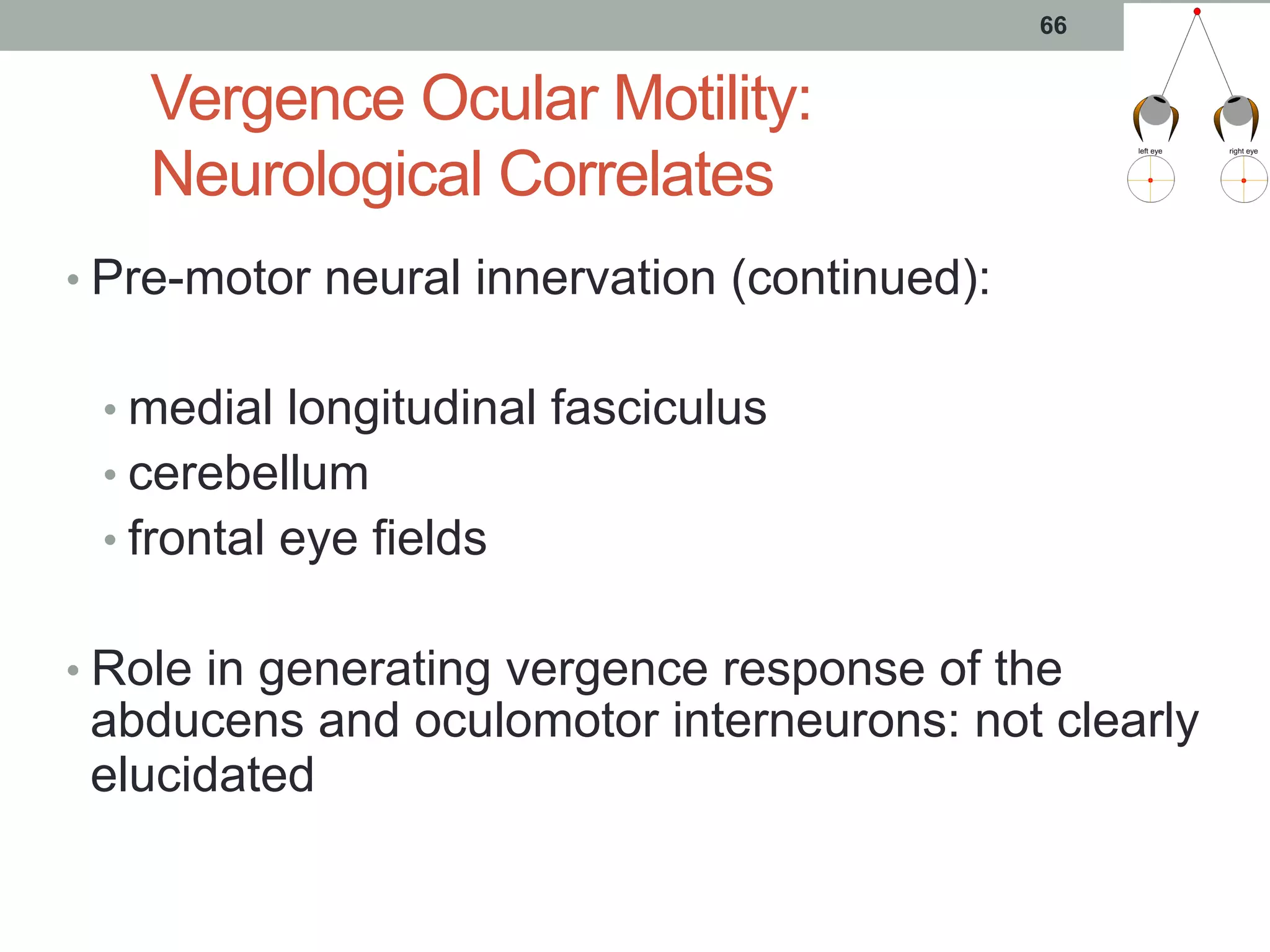 Vergence Ocular Motility:
Neurological Correlates
• Pre-motor neural innervation (continued):
• medial longitudinal fasciculus
• cerebellum
• frontal eye fields
• Role in generating vergence response of the
abducens and oculomotor interneurons: not clearly
elucidated
66
 
