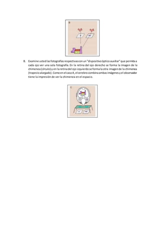 B. Examine ustedlasfotografíasrespectivasconun"dispositivoópticoauxiliar"que permitaa
cada ojo ver una sola fotografía. En la retina del ojo derecho se forma la imagen de la
chimenea(círculo) y en la retinadel ojo izquierdose formala otra imagende la chimenea
(trapecioalargado).ComoenelcasoA,elcerebrocombinaambasimágenesyel observador
tiene la impresión de ver la chimenea en el espacio.
 