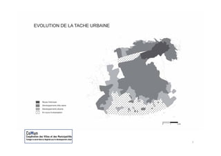 Diagnostic préliminaire




                          7
 
