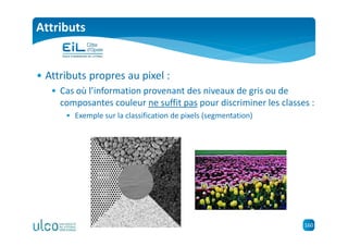 160
Attributs
• Attributs propres au pixel :
• Cas où l’information provenant des niveaux de gris ou de
composantes couleur ne suffit pas pour discriminer les classes :
• Exemple sur la classification de pixels (segmentation)
 