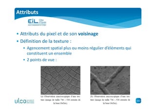 162
Attributs
• Attributs du pixel et de son voisinage
• Définition de la texture :
• Agencement spatial plus ou moins régulier d’éléments qui
constituent un ensemble
• 2 points de vue :
 