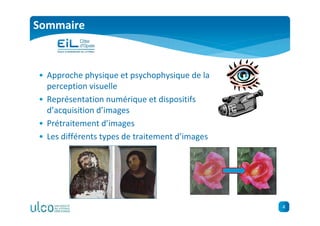 4
Sommaire
• Approche physique et psychophysique de la
perception visuelle
• Représentation numérique et dispositifs
d’acquisition d’images
• Prétraitement d’images
• Les différents types de traitement d’images
 
