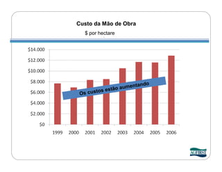 Custo da Mão de Obra
   $ por hectare




                            do
               tão aumentan
 Os cu stos es
 