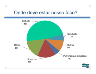 Onde deve estar nosso foco?
         Colheita




                        Condução




Raleio                  Outros




                     Pulverização, adubação
              Poda
 