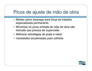 Picos de ajuste de mão de obra
 Manter pleno emprego para força de trabalho
  especializada permanente
 Minimizar os picos entrada de mão de obra não
  treinada que precisa de supervisão
 Melhorar estratégias de poda e raleio
 Variedades escalonadas para colheita
 