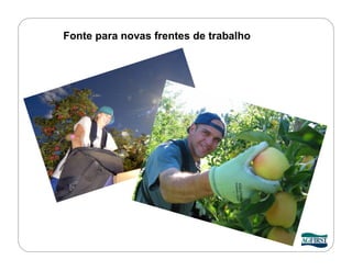 Fonte para novas frentes de trabalho
 