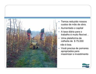  Temos reduzido nossos
    custos de mão de obra.
   Aumentado o capital
   A taxa diária para o
    trabalho é muito flexível. .
   Uma plataforma de
    colheita de $ 75.000
    não é boa.
   Você precisa de pomares
    apropriados para
    maximizar o investimento
 