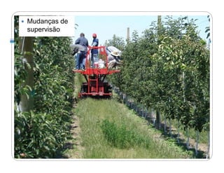    Mudanças de
    supervisão
 