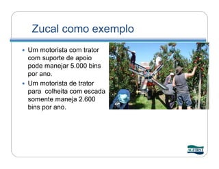 Zucal como exemplo
 Um motorista com trator
  com suporte de apoio
  pode manejar 5.000 bins
  por ano.
 Um motorista de trator
  para colheita com escada
  somente maneja 2.600
  bins por ano.
 