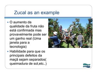 Zucal as an example
 O aumento da
  qualidade da fruta não
  está confirmada mas
  provavelmente pode ser
  um ganho real (Uma
  janela para a
  tecnologia)
 Habilidade para que os
  principais defeitos da
  maçã sejam separados(
  queimadura de sol,etc..)
 