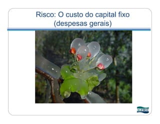 Risco: O custo do capital fixo
     (despesas gerais)
 