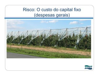 Risco: O custo do capital fixo
     (despesas gerais)
 