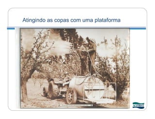 Atingindo as copas com uma plataforma
 