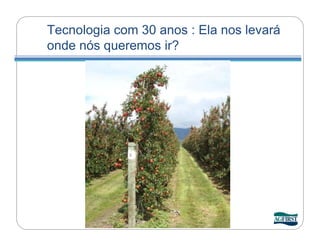 Tecnologia com 30 anos : Ela nos levará
onde nós queremos ir?
 