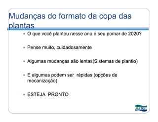 Mudanças do formato da copa das
plantas
      O que você plantou nesse ano é seu pomar de 2020?

      Pense muito, cuidadosamente

      Algumas mudanças são lentas(Sistemas de plantio)

      E algumas podem ser rápidas (opções de
       mecanização)

      ESTEJA PRONTO
 