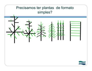 Precisamos ter plantas de formato
            simples?
 