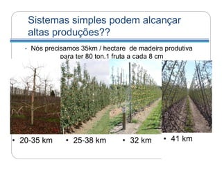 Sistemas simples podem alcançar
       altas produções??
   •   Nós precisamos 35km / hectare de madeira produtiva
                para ter 80 ton.1 fruta a cada 8 cm




• 20-35 km       • 25-38 km        • 32 km      • 41 km
 