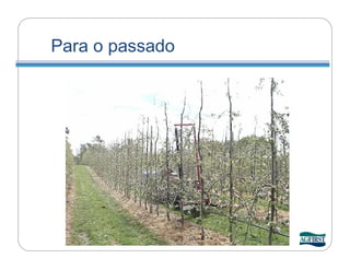 Para o passado
 