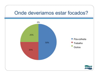 Onde deveriamos estar focados?




                        Pós-colheita
                        Trabalho
                        Outros
 