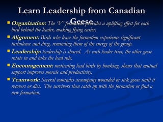 Vision For Self & Project Leadership Effectiveness | PPT