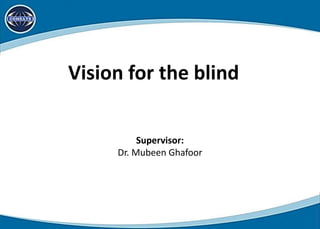 Vision for the blind
1
Supervisor:
Dr. Mubeen Ghafoor
 