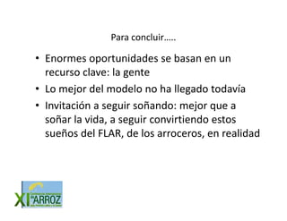 Vision futuro arrocero_regional