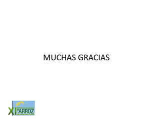 Vision futuro arrocero_regional