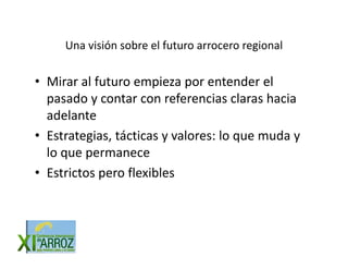Vision futuro arrocero_regional