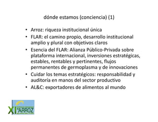 Vision futuro arrocero_regional