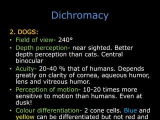 Dichromacy
2. DOGS:
• Field of view- 240°
• Depth perception- near sighted. Better
depth perception than cats. Central
binocular field helps in depth perception.
• Acuity- 20-40 % that of humans. Depends
greatly on clarity of cornea, aqueous humor,
lens and vitreous humor.
• Perception of motion- 10-20 times more
sensitive to motion than humans. Even at
dusk!
• Colour differentiation- 2 cone cells. Blue and
yellow can be differentiated but not red and
 