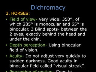Dichromacy
3. HORSES:
• Field of view- Very wide! 350°, of
which 285° is monocular and 65° is
binocular. 3 Blind spots- between the
2 eyes, exactly behind the head and
under the chin.
• Depth perception- Using binocular
field of vision.
• Acuity- Do not adjust very quickly to
sudden darkness. Good acuity in
binocular field called “visual streak”.
 