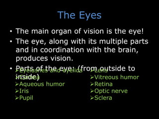 The Eyes
• The main organ of vision is the eye!
• The eye, along with its multiple parts
and in coordination with the brain,
produces vision.
• Parts of the eye: (from outside to
inside)
Lens
Vitreous humor
Retina
Optic nerve
Sclera
Eyelashes and eyelids
Cornea
Aqueous humor
Iris
Pupil
 