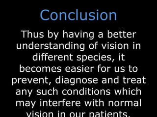 Conclusion
Thus by having a better
understanding of vision in
different species, it
becomes easier for us to
prevent, diagnose and treat
any such conditions which
may interfere with normal
 