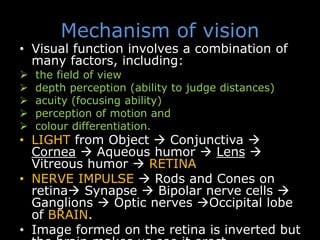 Mechanism of vision
• Visual function involves a combination of
many factors, including:
 the field of view
 depth perception (ability to judge distances)
 acuity (focusing ability)
 perception of motion and
 colour differentiation.
• LIGHT from Object  Conjunctiva 
Cornea  Aqueous humor  Lens 
Vitreous humor  RETINA…
• NERVE IMPULSE  Rods and Cones on
retina Synapse  Bipolar nerve cells 
Ganglions  Optic nerves Occipital lobe
of BRAIN.
• Image formed on the retina is inverted but
 