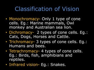 Classification of Vision
• Monochromacy- Only 1 type of cone
cells. Eg.: Marine mammals, Owl
monkey and Australian sea lion.
• Dichromacy- 2 types of cone cells. Eg.:
Cats, Dogs, Horses and Cattle.
• Trichromacy- 3 types of cone cells. Eg.:
Humans and bees.
• Tetrachromacy- 4 types of cone cells.
Eg.: Birds, fish, amphibians and
reptiles.
• Infrared vision- Eg.: Snakes.
 