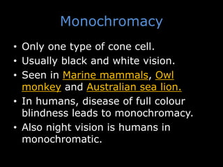 Monochromacy
• Only one type of cone cell.
• Usually black and white vision.
• Seen in Marine mammals, Owl
monkey and Australian sea lion.
• In humans, disease of full colour
blindness leads to monochromacy.
• Also night vision is humans in
monochromatic.
 