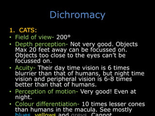 Dichromacy
1. CATS:
• Field of view- 200°
• Depth perception- Not very good. Objects
Max 20 feet away can be focussed on.
Objects too close to the eyes can’t be
focussed on.
• Acuity- Their day time vision is 6 times
blurrier than that of humans, but night time
vision and peripheral vision is 6-8 times
better than that of humans.
• Perception of motion- Very good! Even at
night.
• Colour differentiation- 10 times lesser cones
than humans in the macula. See mostly
 