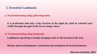 Vision and visual navigation in nocturnal insects | PDF