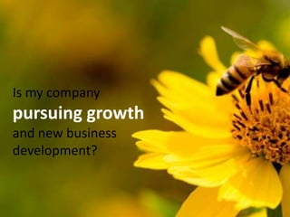 Is my company pursuing growth and new business development?