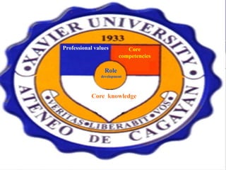 Professional values        Core
                        competencies

                 Role
               development




           Core knowledge
 