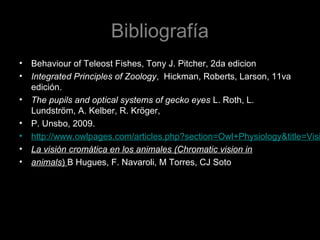 Bibliografía
• Behaviour of Teleost Fishes, Tony J. Pitcher, 2da edicion
• Integrated Principles of Zoology, Hickman, Roberts, Larson, 11va
edición.
• The pupils and optical systems of gecko eyes L. Roth, L.
Lundström, A. Kelber, R. Kröger,
• P. Unsbo, 2009.
• http://www.owlpages.com/articles.php?section=Owl+Physiology&title=Visi
• La visión cromática en los animales (Chromatic vision in
• animals) B Hugues, F. Navaroli, M Torres, CJ Soto
 