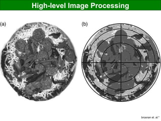 High-level Image Processing
brosnan et. al.*
 