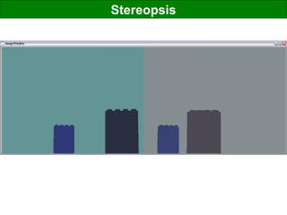 Stereopsis
 